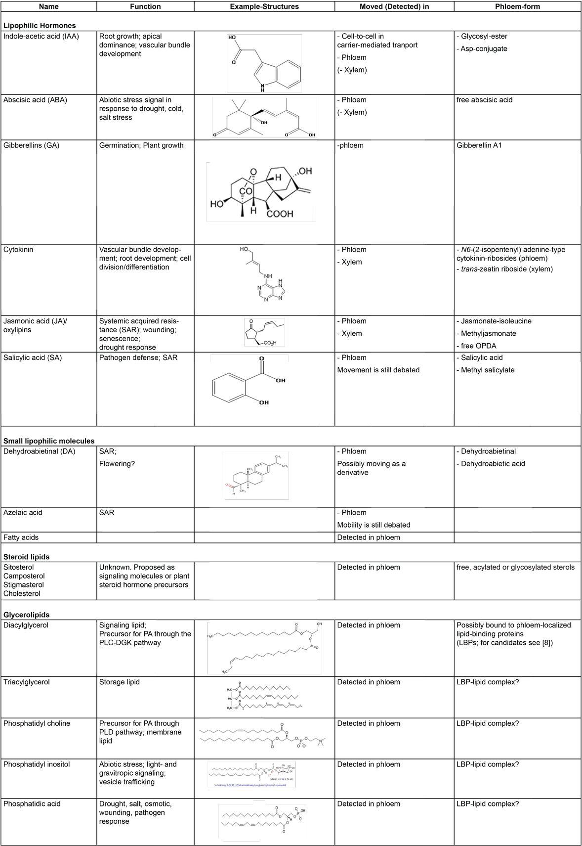 Plant Phloem Table - Physician (1200x1722), Png Download