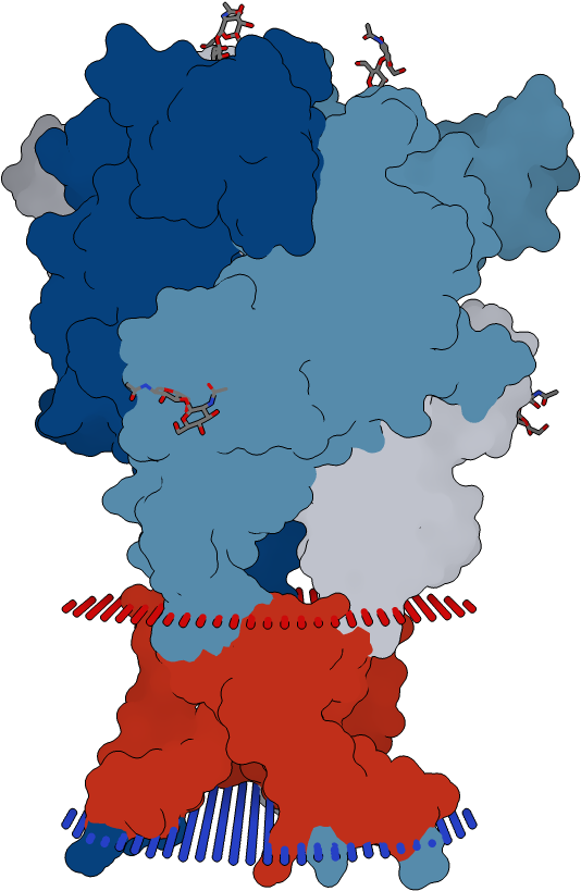 Transmembrane Flat Surface Display Opm - Illustration (1000x1000), Png Download