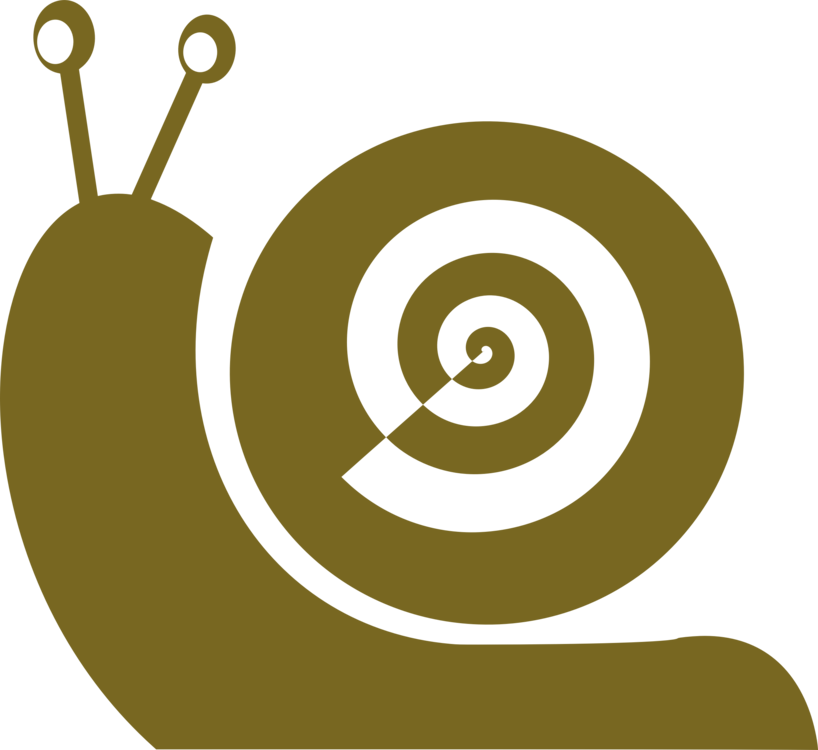 Snail Computer Icons Drawing Seashell Gastropods - Snail Png Flat (818x750), Png Download