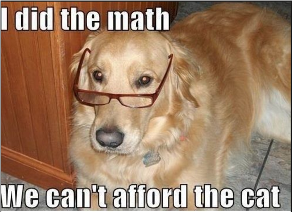 Yes, This Is Dog - We Cant Afford The Cat (640x494), Png Download