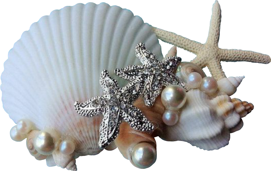 Report Abuse - Party (920x581), Png Download