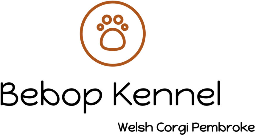Bebop Kennel-logo Format=1500w (1000x588), Png Download