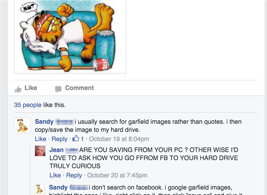This Private Garfield Facebook Group Is The Last Irony-free - Garfield (1200x675), Png Download