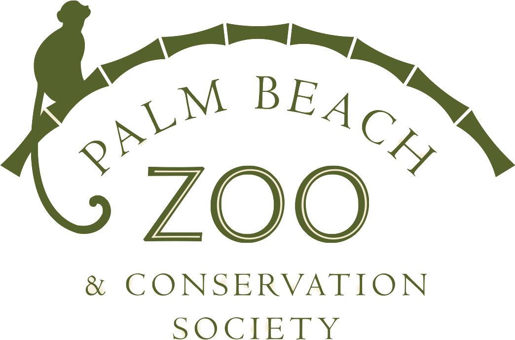 Palm Beach Zoo & Conservation Society (1088x738), Png Download