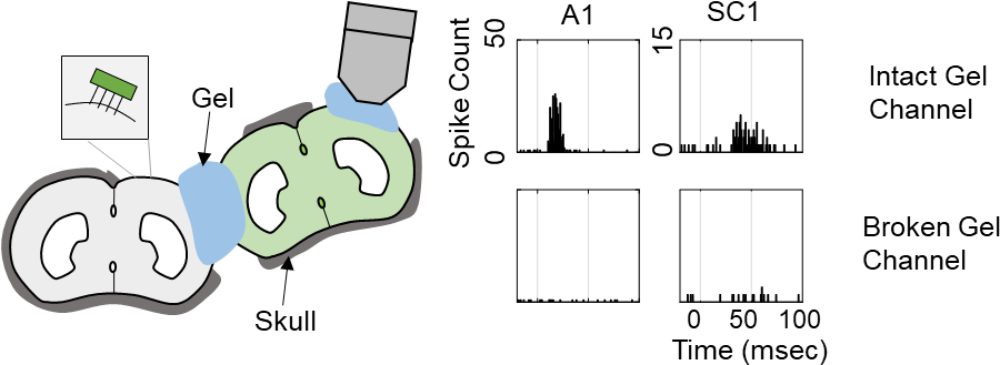 Hongsun Img2 - Cartoon (936x359), Png Download