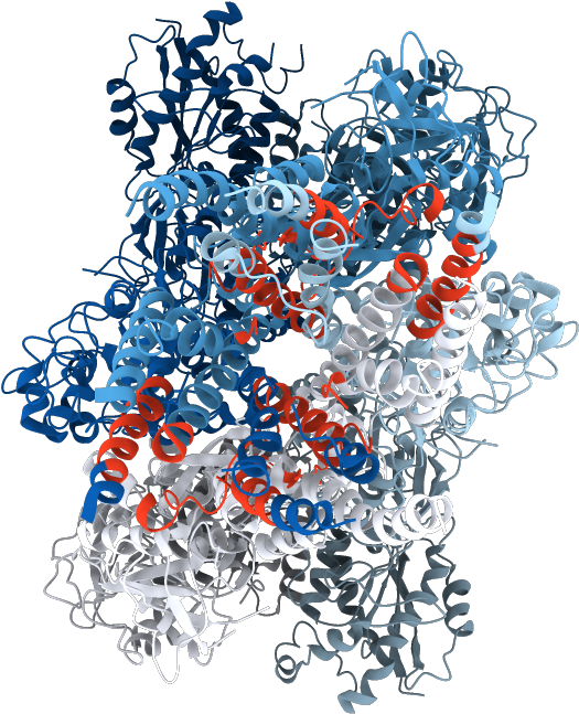 Transmembrane Regions Opm - Illustration (1000x1000), Png Download