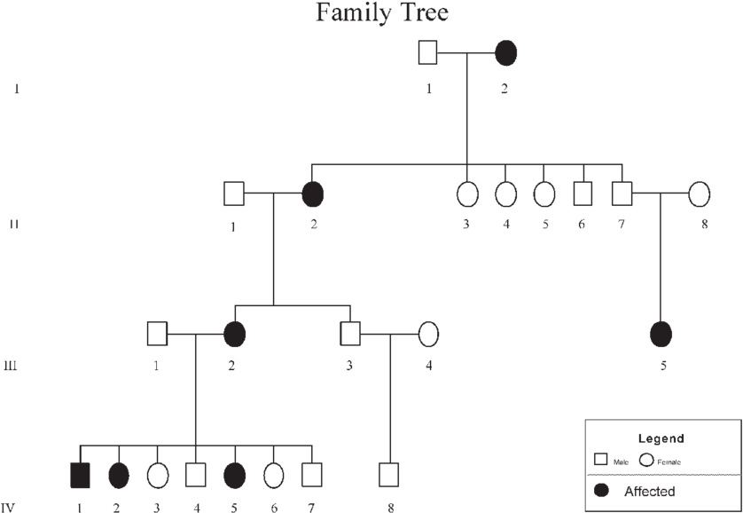 Family Tree 3 Generations - Family Tree Generations (850x585), Png Download