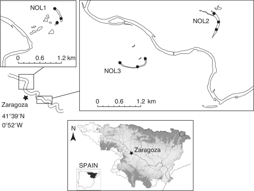 Study Site Locations In The Floodplain Of The Ebro - Spain (850x641), Png Download