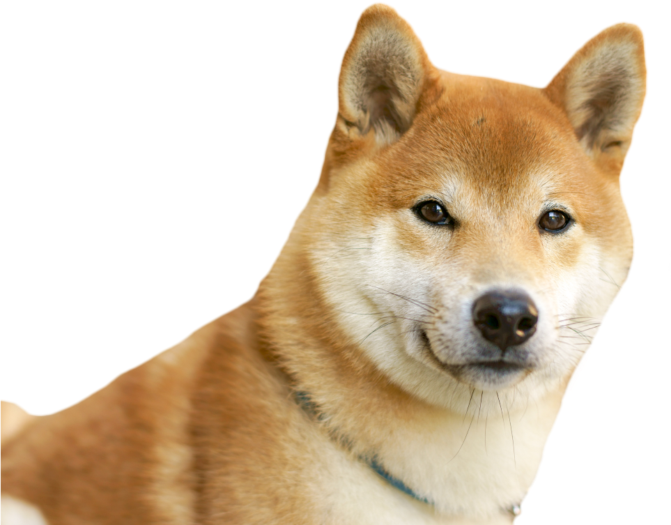 File History - Photography (1024x768), Png Download