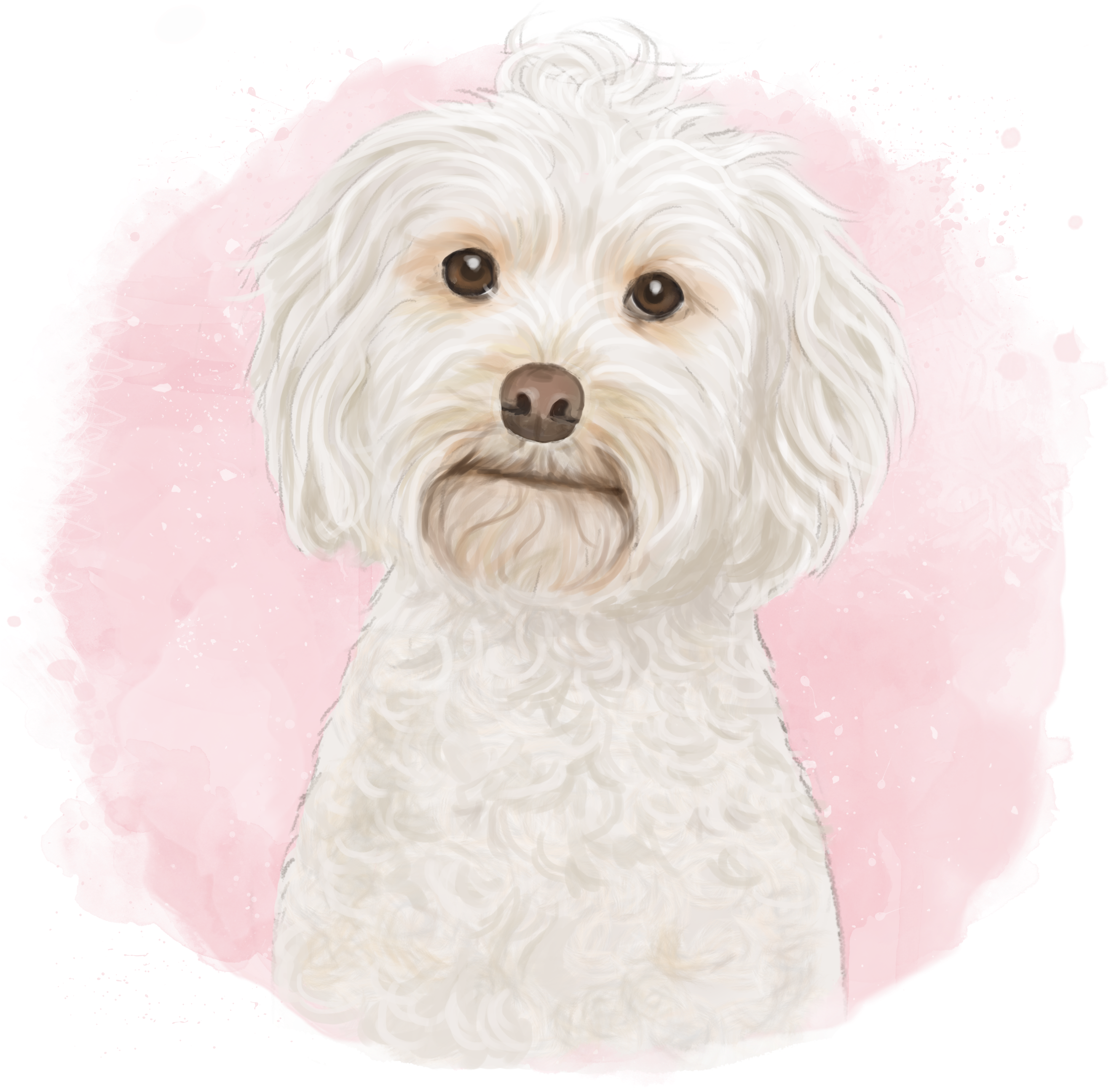 Piper The Cockapoo - Cockapoo (2646x2602), Png Download