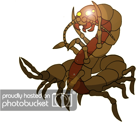 Photo Centipede 002 - Photograph (800x610), Png Download