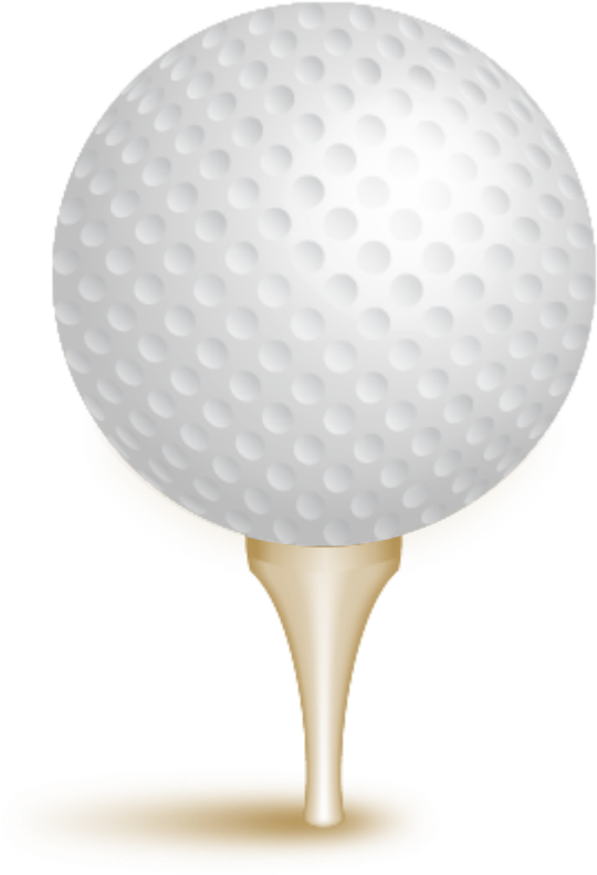 Gold Sponsor - $8,000 (646x848), Png Download