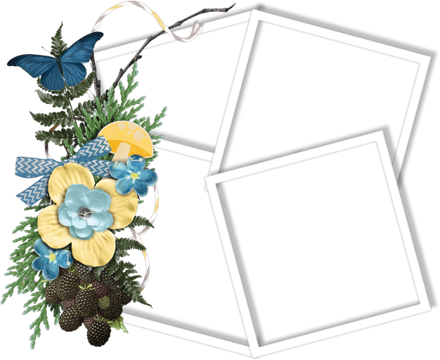 Cluster Frame 800 X - Garden Roses (800x800), Png Download