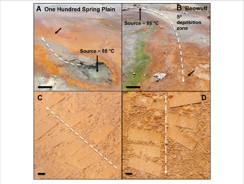 Photographs Of One Hundred Spring Plain And Beowulf - Yellowstone National Park (850x642), Png Download