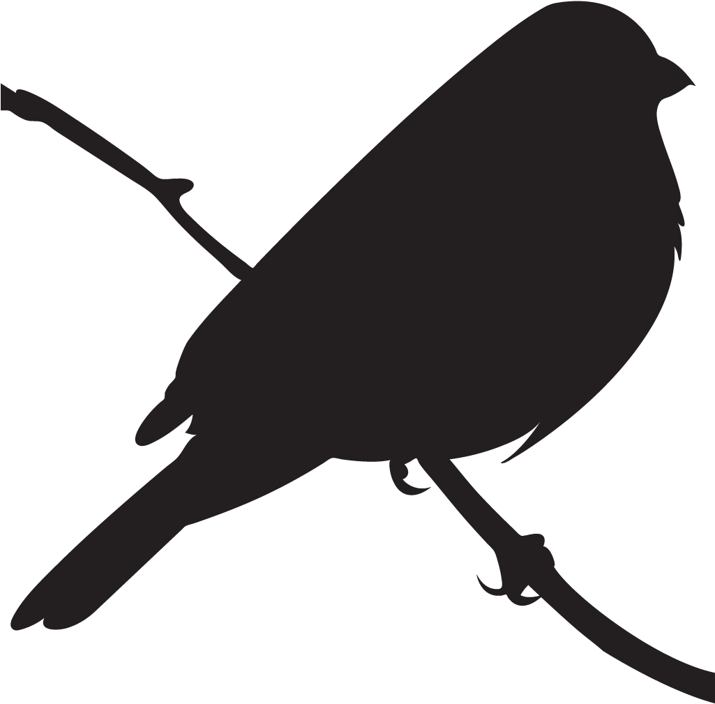 Varied Bunting (1024x1024), Png Download
