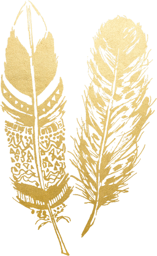 Gold Feather Feathers Native Boho Pretty Decals Decor - Gold Feather Png (1024x1024), Png Download