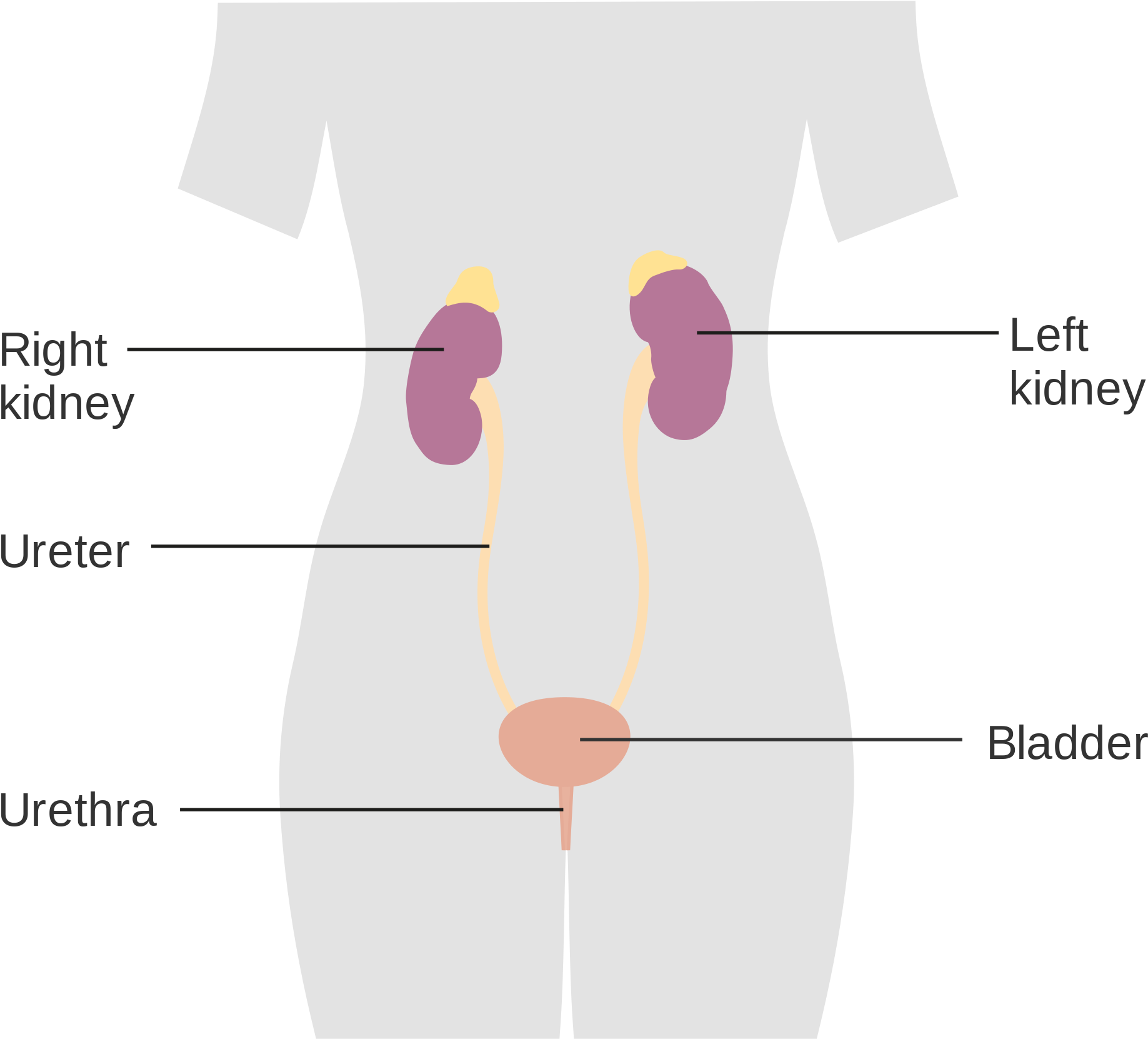 Open - Diagram (2000x1840), Png Download
