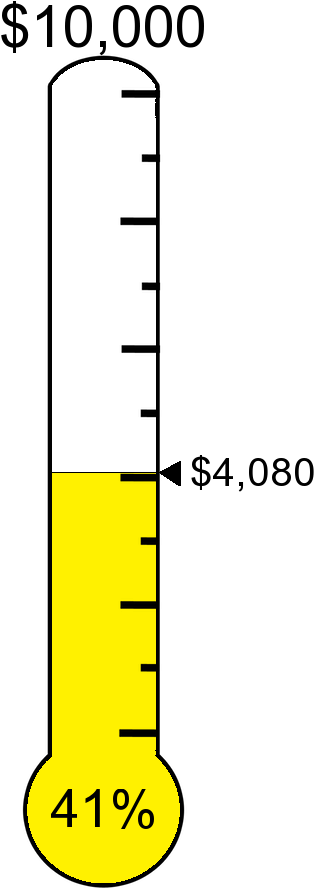 #fff100 Raised $4,080 Towards The $10,000 Target - Calligraphy (358x889), Png Download