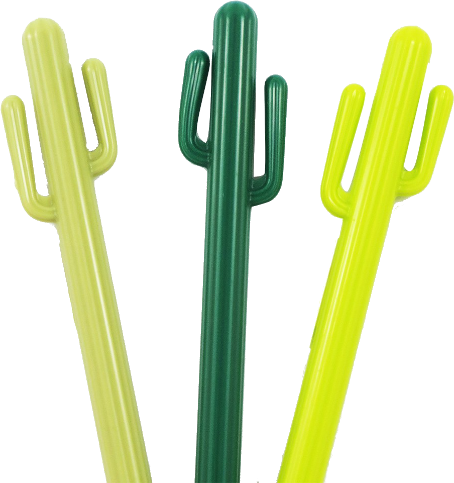 Bolis Cactus - Cactus (984x984), Png Download