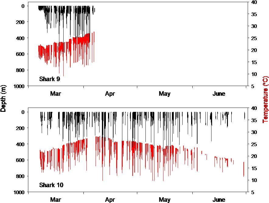 Depth And Temperature (red) Profiles For Two Mako Sharks - Plot (961x841), Png Download