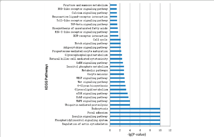 Kegg Orthology Analysis Of The Most Abundant Mirnas (850x545), Png Download