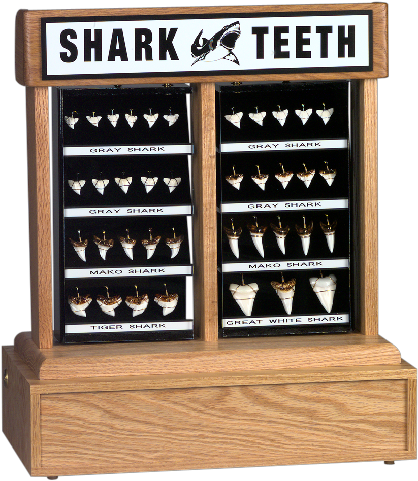 Kit 3a - Display Case (872x981), Png Download