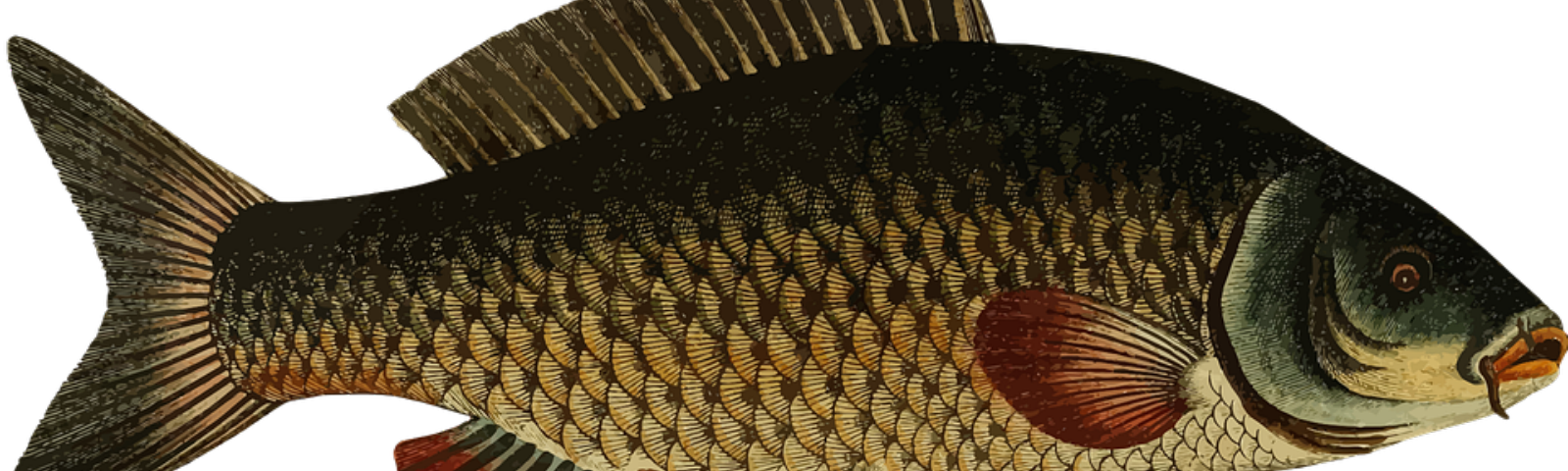 Mocking A Graphql Wrapper Around The Universal Chess (1600x480), Png Download