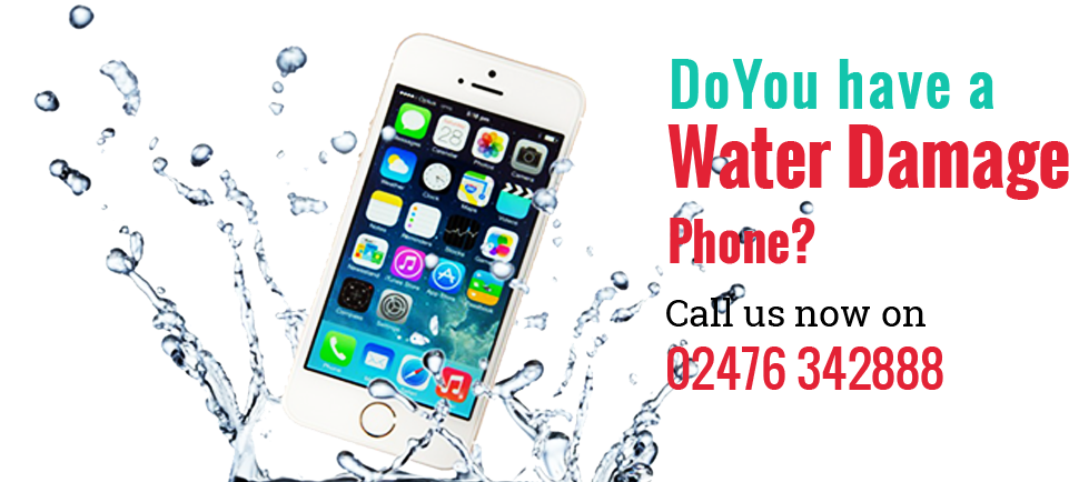 Grand Teton National Park, Mount Moran (1062x437), Png Download