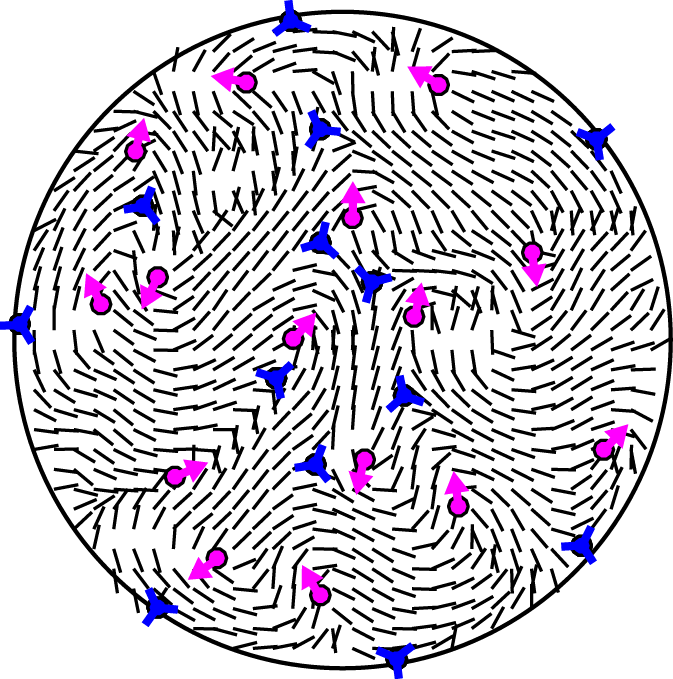 Activenematic Turb - Circle (673x679), Png Download