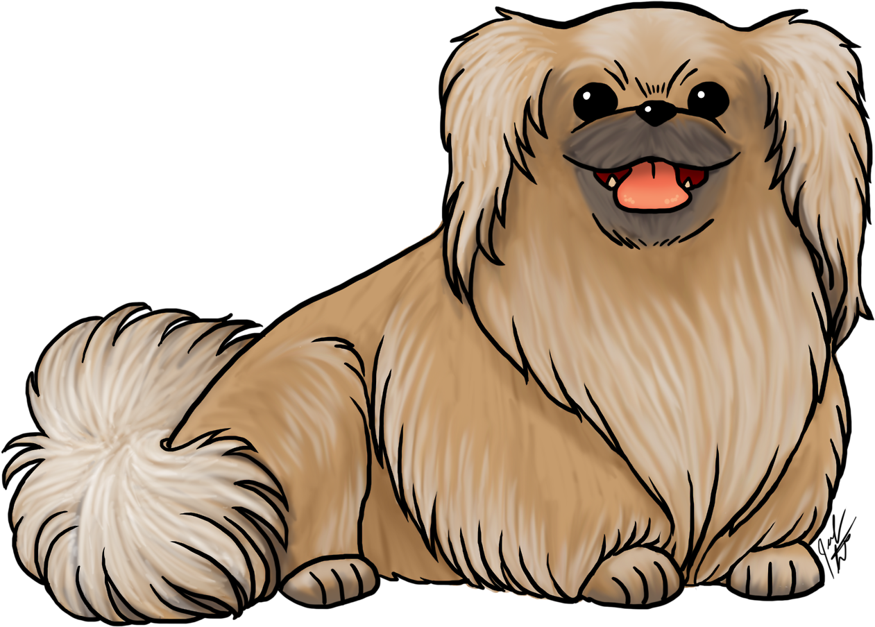 Breed Of The Month Is The Pekingese Check Out All The - Dog Breed (1280x916), Png Download