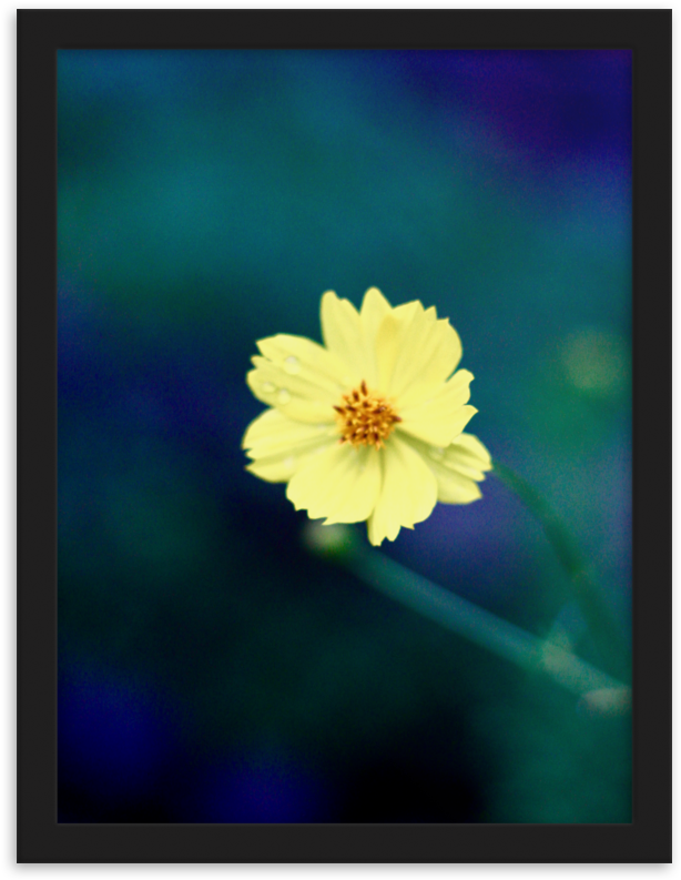 Load Image Into Gallery Viewer, Yellow Flower Art Photo (1000x1000), Png Download