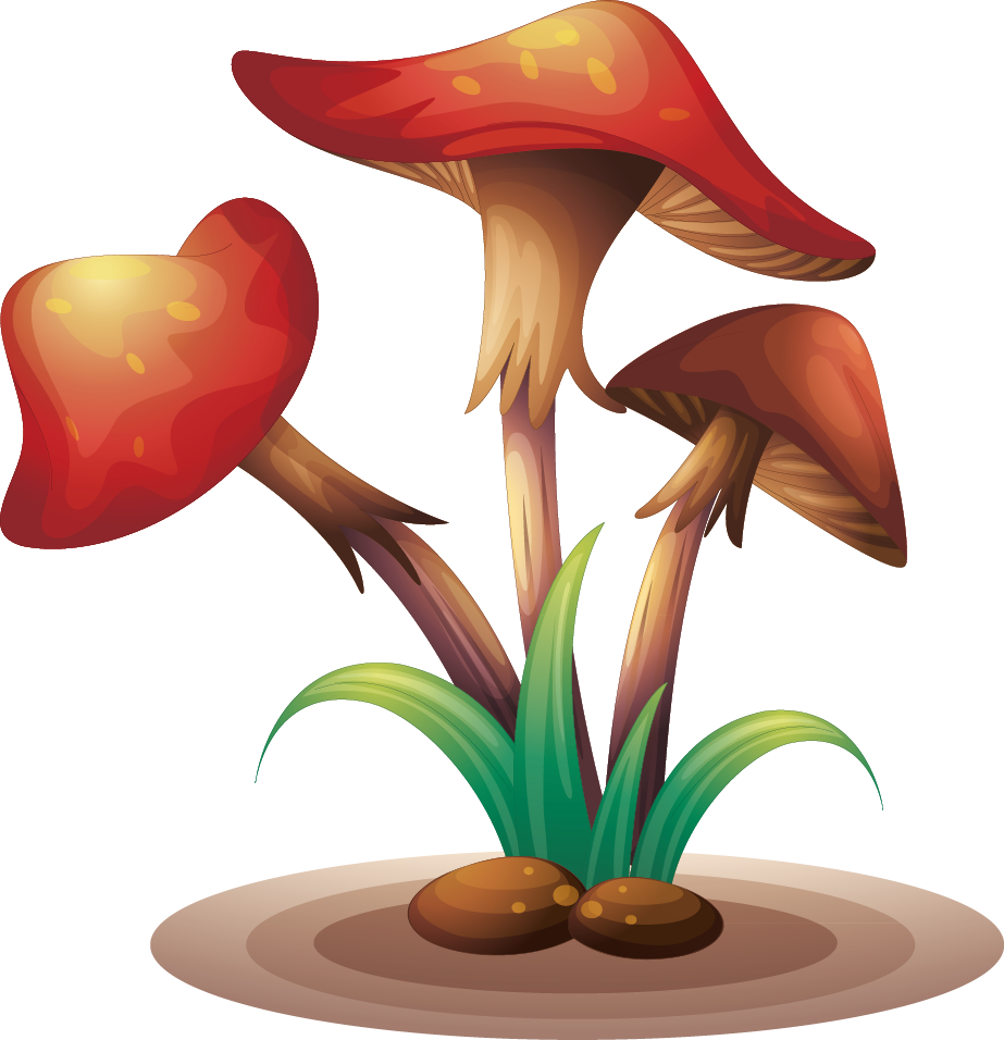 Clip Art Mushrooms Transprent (923x956), Png Download