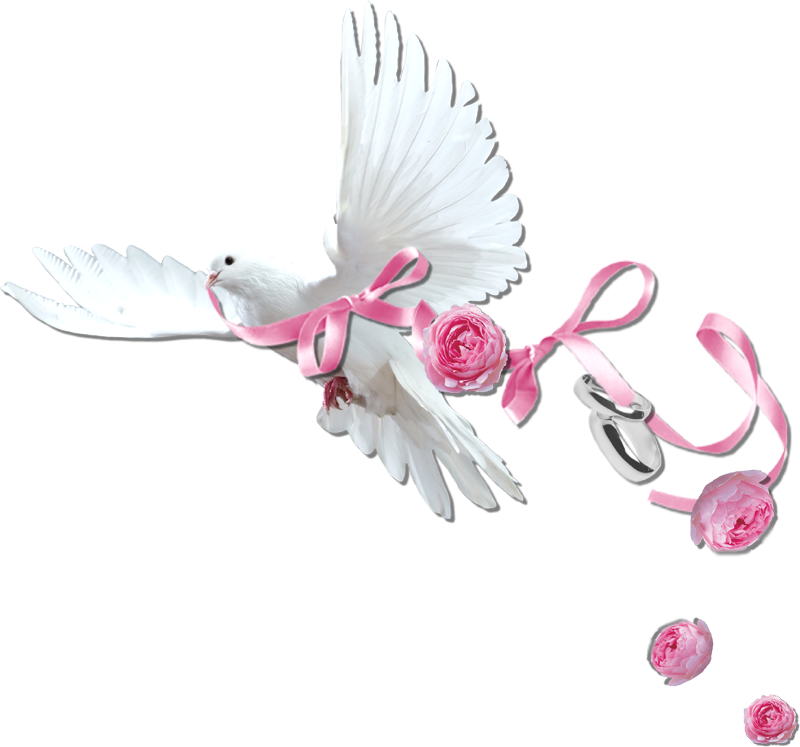 Cheyokota Digital Scraps - Wedding Scraps Png (800x747), Png Download