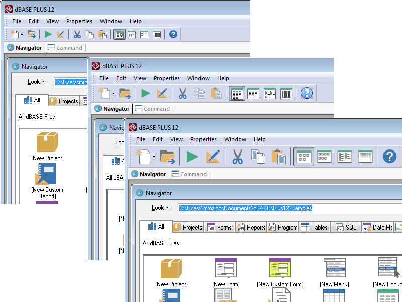 We Updated The Look & Feel Of Dbase™ Plus 12 When Building - Look And Feel (800x600), Png Download