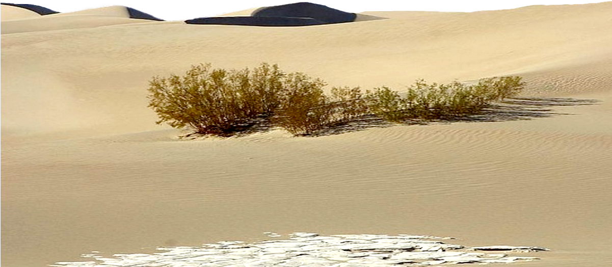 Base De Sable 2 - Erg (1200x680), Png Download