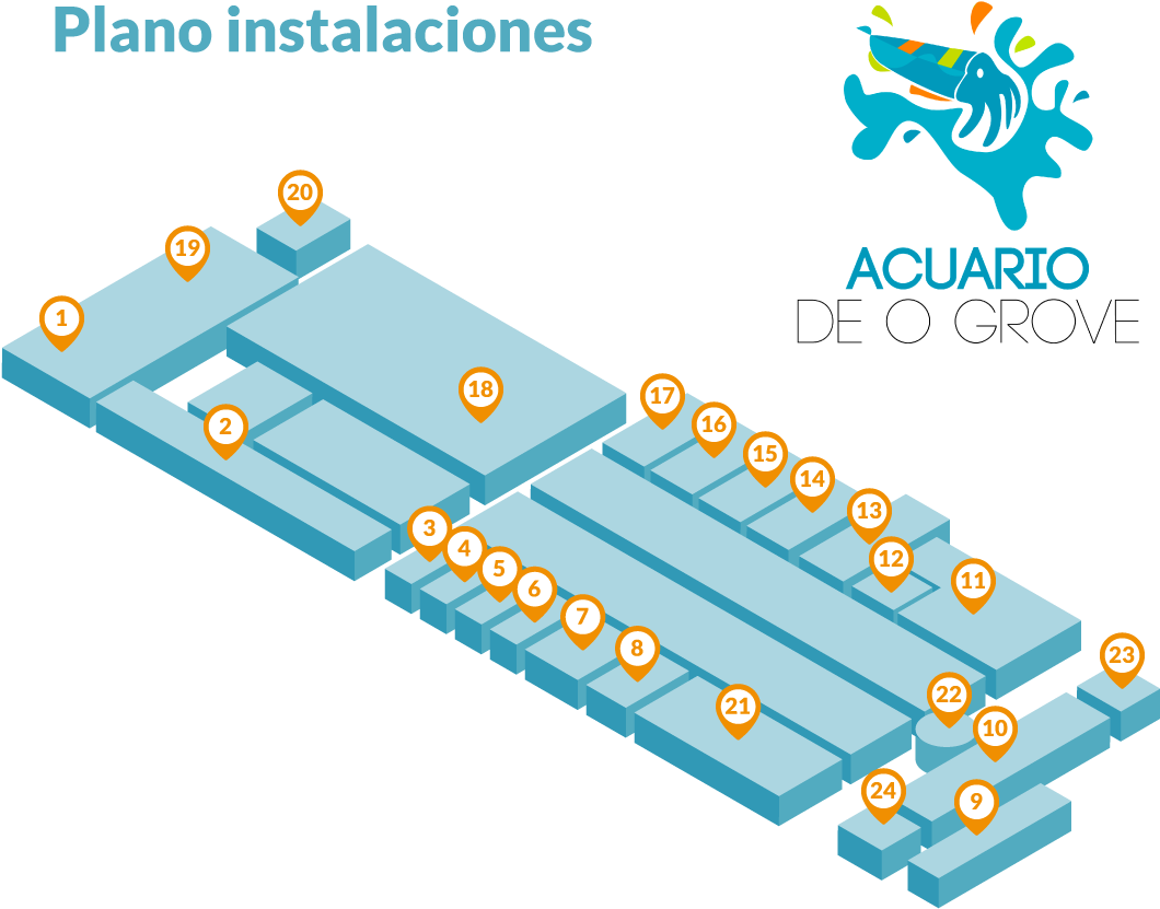 Instalaciones Acuario Do Grove - Jpeg (1104x894), Png Download