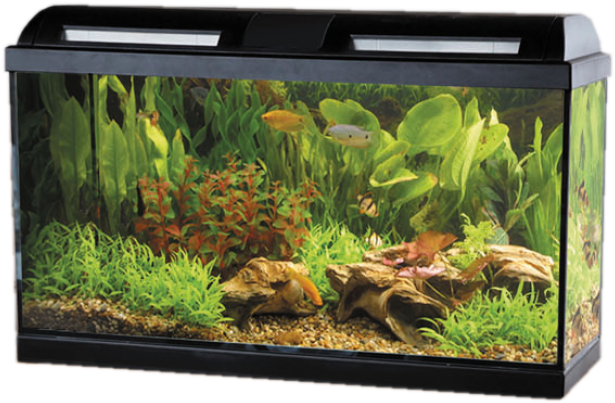 Acuario Fluval Marina Style - Marina Style 35 Tropical Aquarium Set 35 Litres (650x650), Png Download