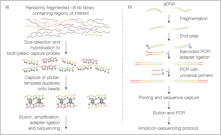 Incorporating Sequence Capture Into Library Preparation - Number (749x458), Png Download