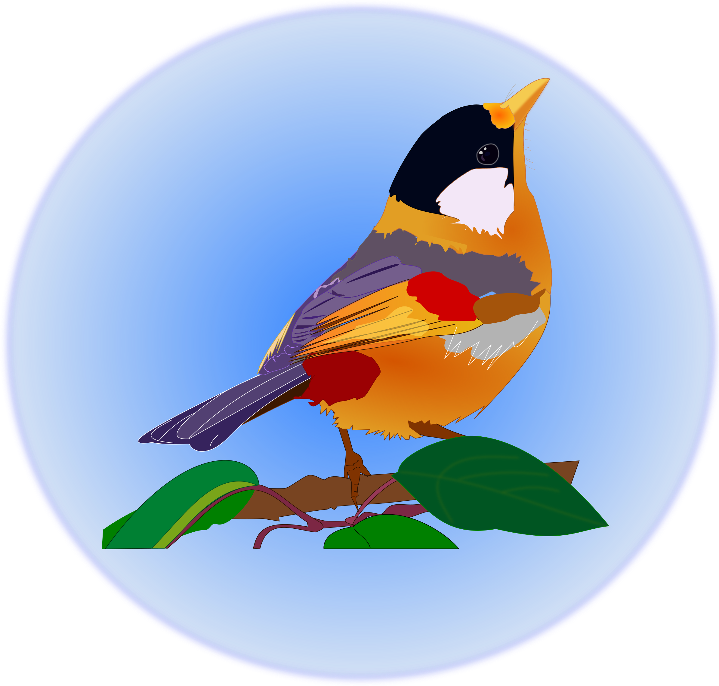 Clipart P Ssaro Multicolor Big Image Png - Clip Art (2400x2283), Png Download