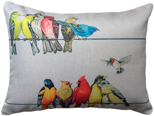 Capa-passarinhoos - Cushion (620x620), Png Download
