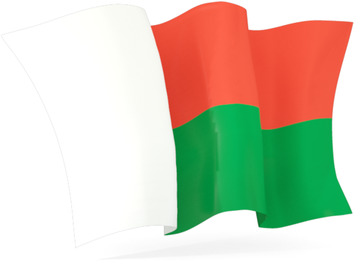 Madagascar Flag Gif Png (640x480), Png Download