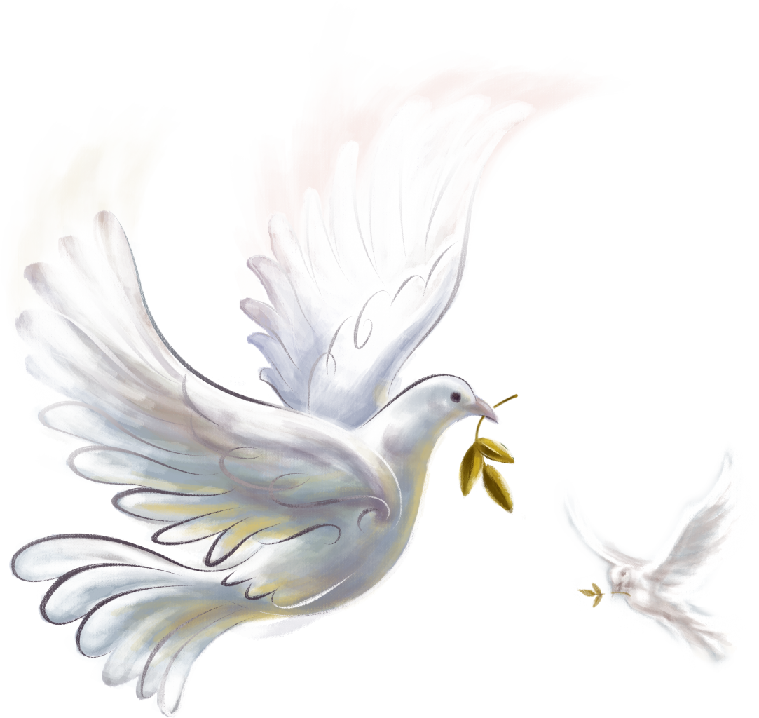 Pigeon Png (1083x1024), Png Download