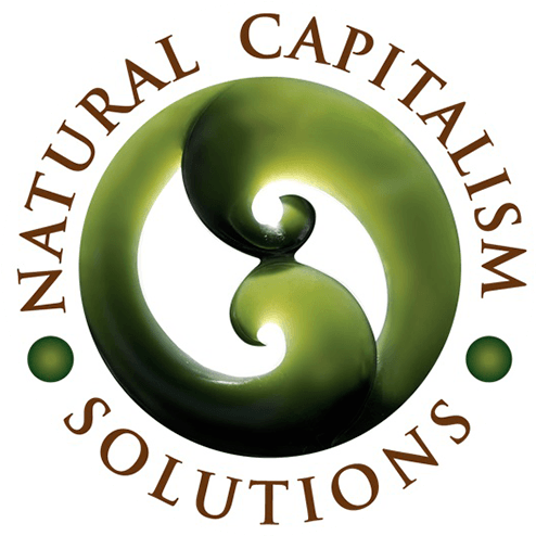 Natural Capitalism Solutions Natural Capitalism Solutions - Korean War Army Logo (576x576), Png Download
