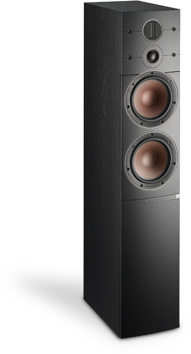 Dali Callisto 6 C Black Finish - Dali Callisto 6 C (738x736), Png Download