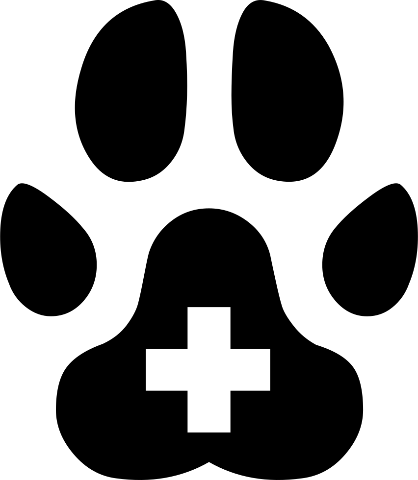 Png File - Veterinarian Svg (852x980), Png Download