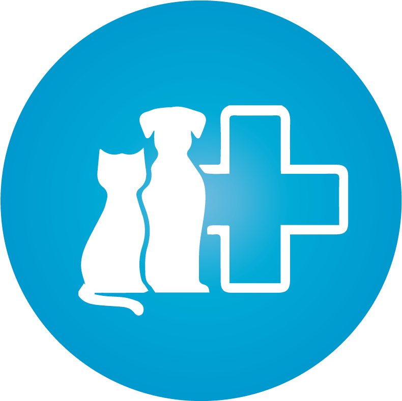 Educational Info - Icon Tic Tac Toe (801x800), Png Download