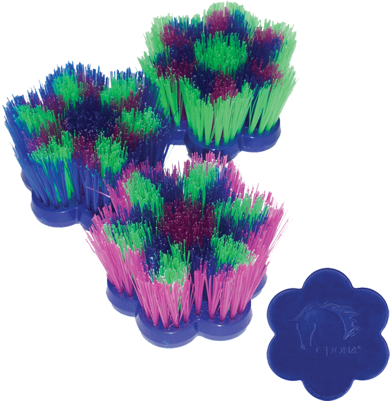 Epona Brush Flower Dandy (572x588), Png Download