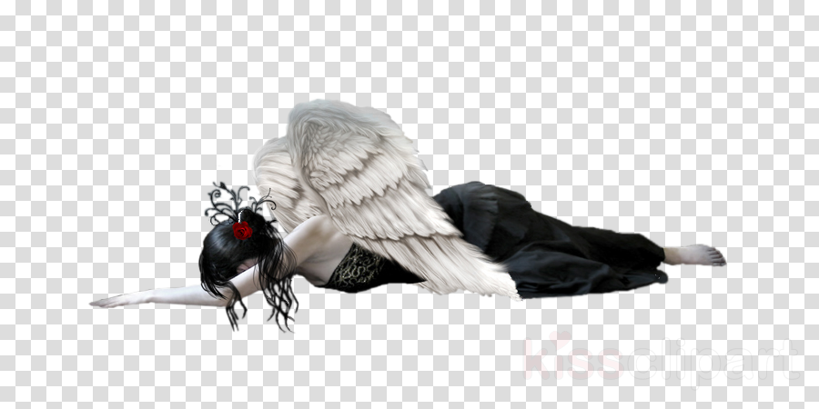 Fallen Angel Png Clipart Fallen Angel Clip Art - Life Is A Chess Move: The Relationships (900x450), Png Download