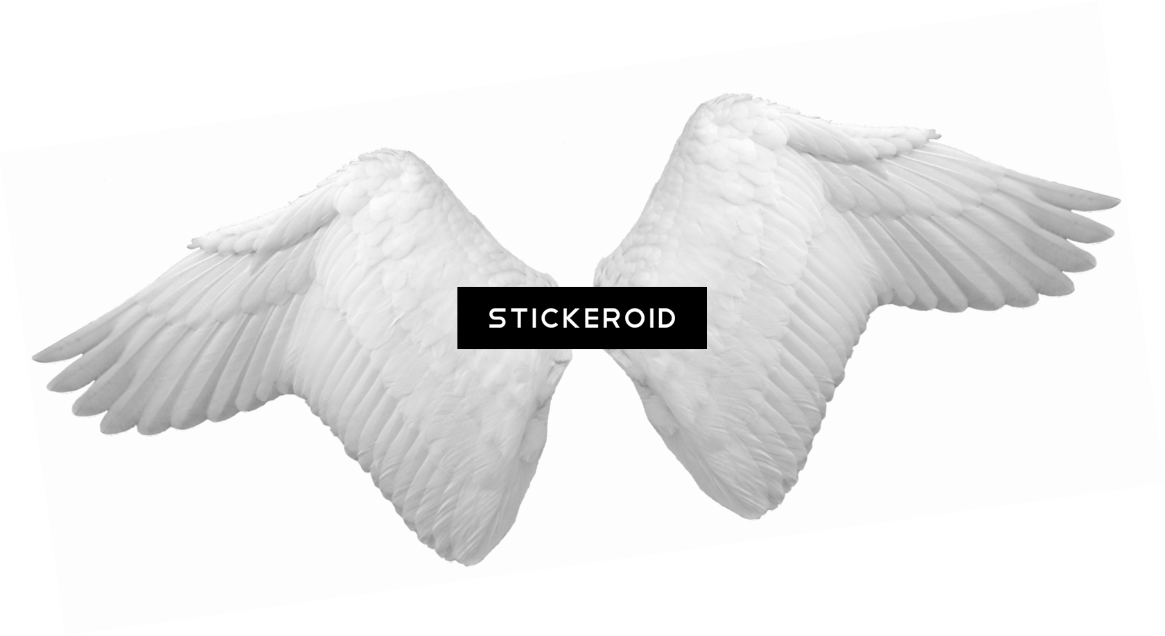 White Angel Wings (1681x918), Png Download