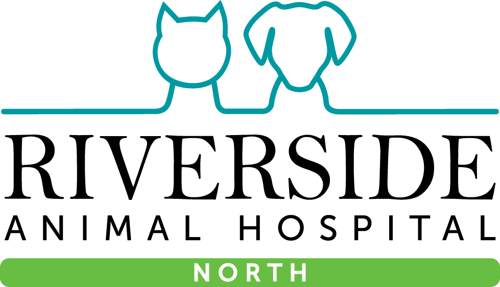 Riverside Animal Hospital North - School Of Science Rk University (979x563), Png Download